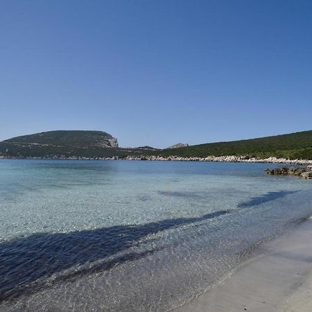 Pischina Salida-Villetta Pavoncelle Alghero Eksteriør billede